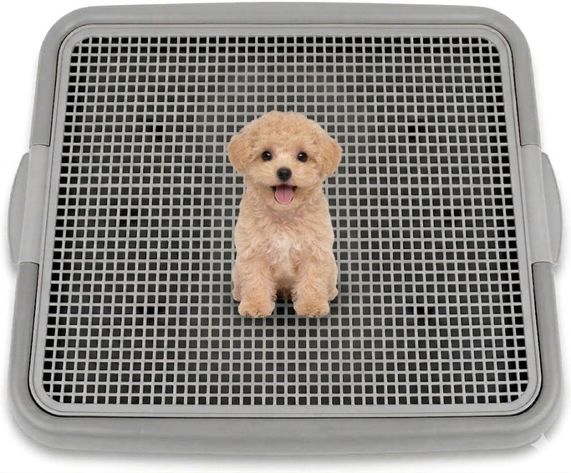UPIT Puppy Potty Tray with Mesh – Dog Pee Pad Holder for Small Dogs & Puppies, Indoor Dog Potty Training Toilet, Plastic Leak-Proof Dog Potty Tray (Small - 20 x 16 in)