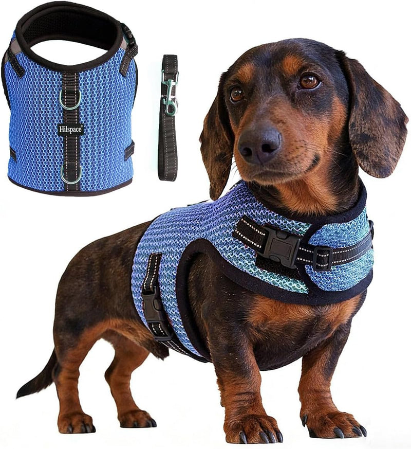 Mini Dachshund Harness Vest, No Pull & No Armpit Rub Dachshund Harness, Escape Proof Adjustable Dog Harness for Walking