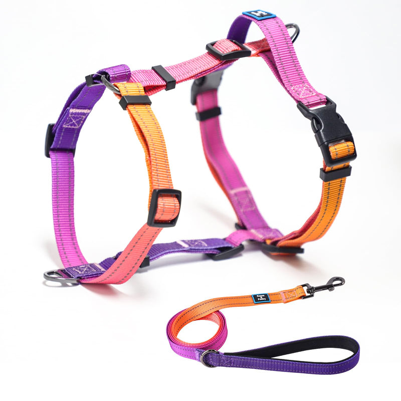 Roses&Poetry Dog Harness with Leash, No Pull Adjustable Harness Leash, Reflective Dog Halter Harnesses Comfort Padded Handle, Pet Walking Harness for Medium Dogs(Mistyrose-M)