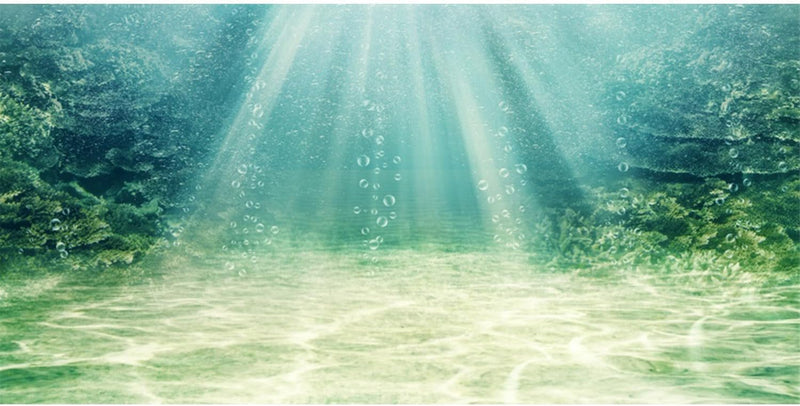 24x16 inches Aquarium Backdrop Underwater Ocean Floor Fish Tank Background