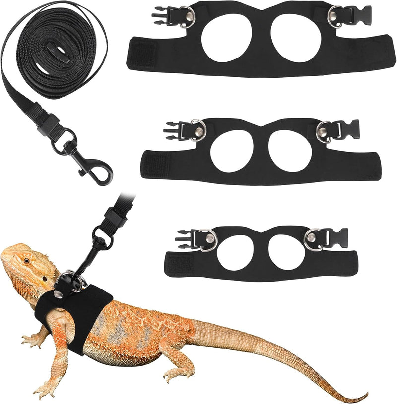 Bearded Dragon Leash and Harness Set
