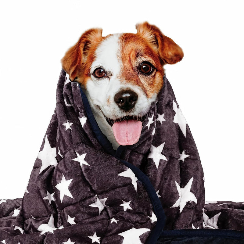 LaSyL Weighted Blanket for Pets | Thunder Blanket for Dogs Anxiety | Premium Soft Minky | Relaxation & Calming & Anti Anxiety | Used in Car, Bed, Couch | Blue Grey Star, Washable Medium (32