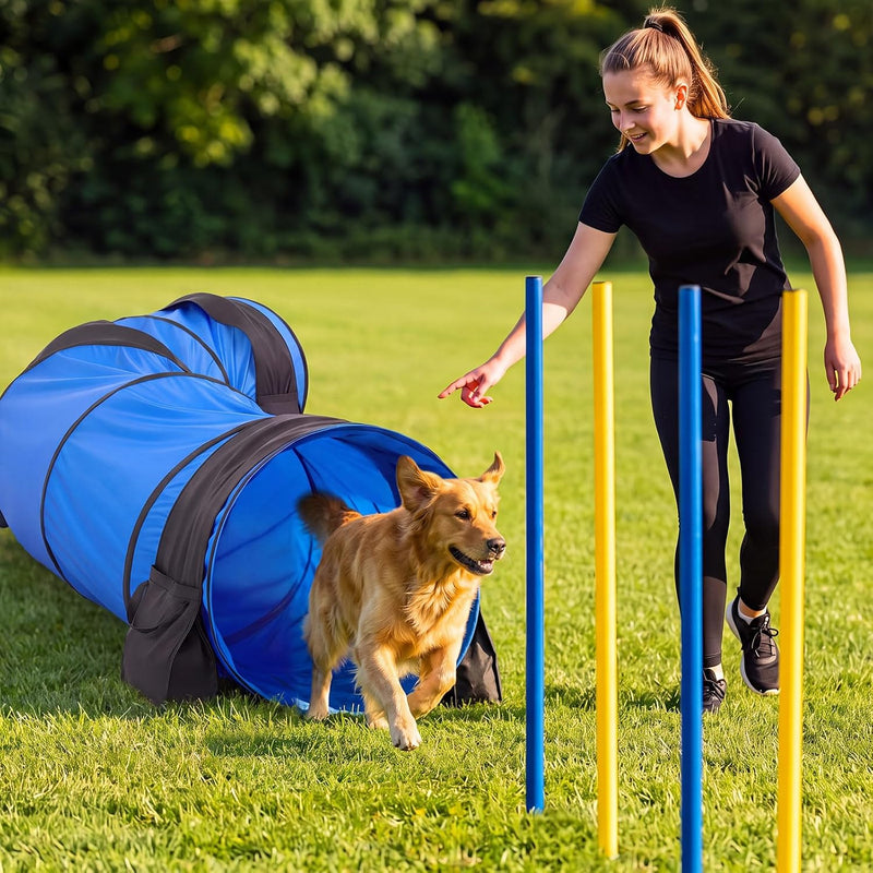13pcs Large Dog Agility Training Equipment with 28'' Tunnel and Weave Poles