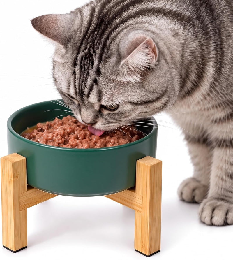 Elevated Cat Water Bowl, Raised Cat Food Bowl with Ceramic Bowl & Adjustable Bamboo Stand, 5.1