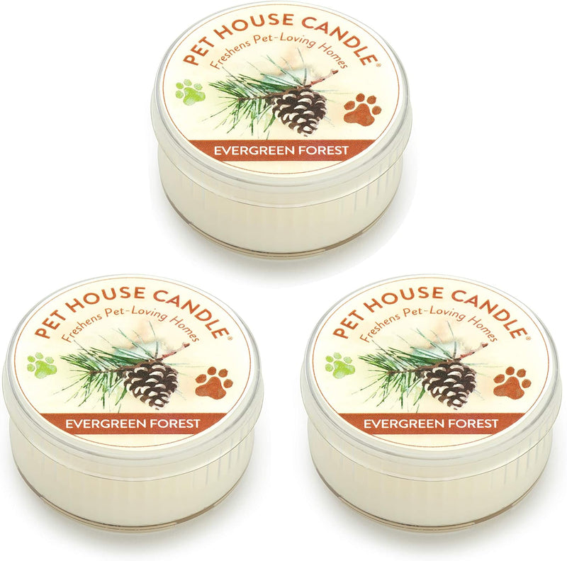 Evergreen Forest Mini Candles Plant-Based Wax, 3 Pack Pet House