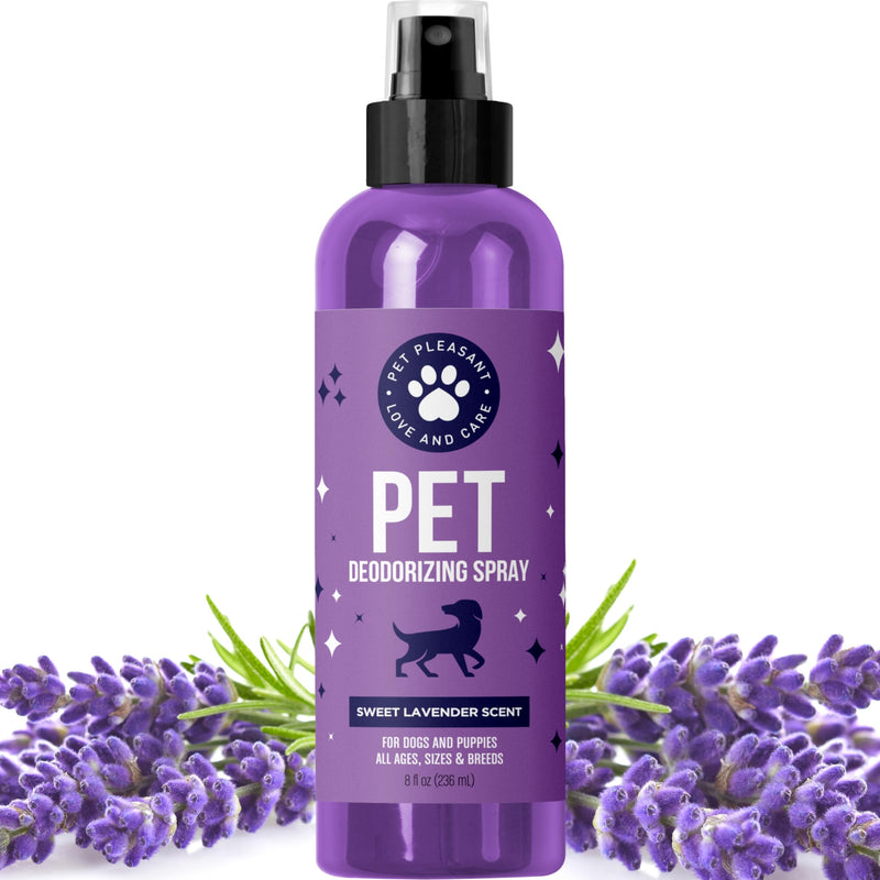 Lavender Oil Dog Deodorizing Spray - Dog Spray for Smelly Dogs and Puppies and Dog Calming Spray with Lavender Essential Oil - Lightly Scented Dog Deodorizer for Smelly Dogs and Dog Essentials