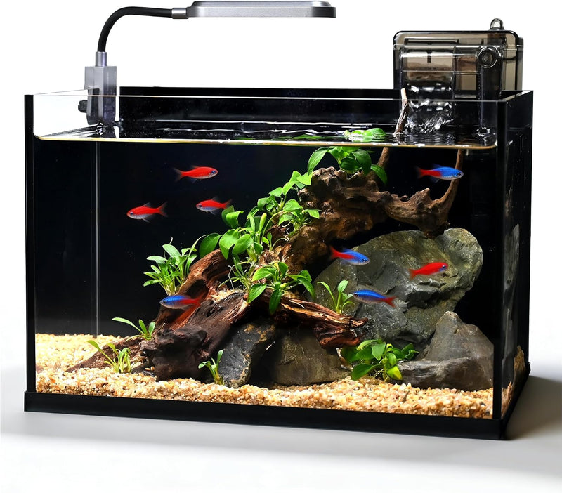 2.8 Gallon Glass Fish Tank,Small Fish Tank with Light and Filter
