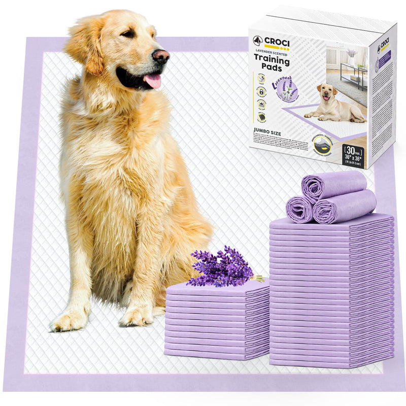 CROCI Dog Pads Extra Large 36x36in, Puppy Pads with Adhesive Tabs Super Absorbent Up to 11 Cups, Disposable (30 Counts)