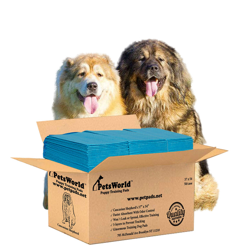 PetsWorld Enormous Dog Pee Pads 37