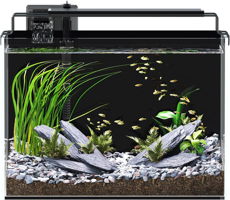 5 Gallon Fish Tank Aquarium Starter Kit with Filter Light Lid Rimless Glass