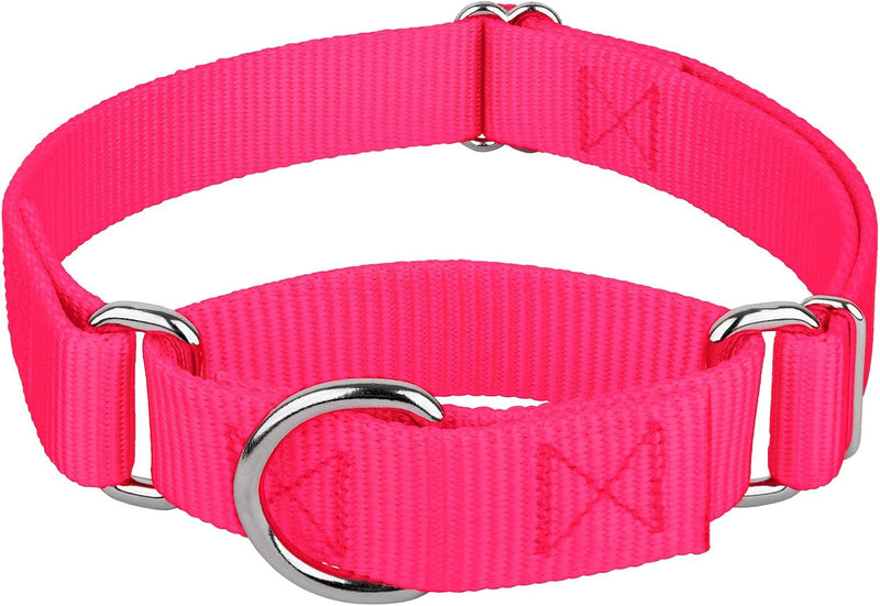 Country Brook Petz - Martingale Dog Collar - Heavy-Duty Training Collar with No Buckle - Service Dog Collar for All Pups