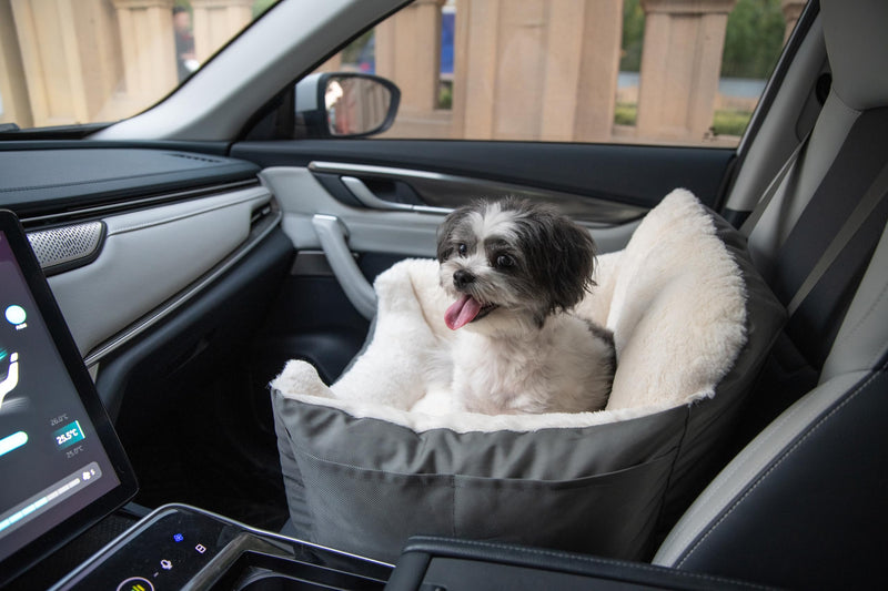 Best Pet Supplies Elevated Dog Car Seat for Small Dogs, Booster Seat with Safety Tether & Storage, Washable Travel Pet Seat for Front or Back Seat, Up to 25 lbs - Gray - 21 x 20 x 14