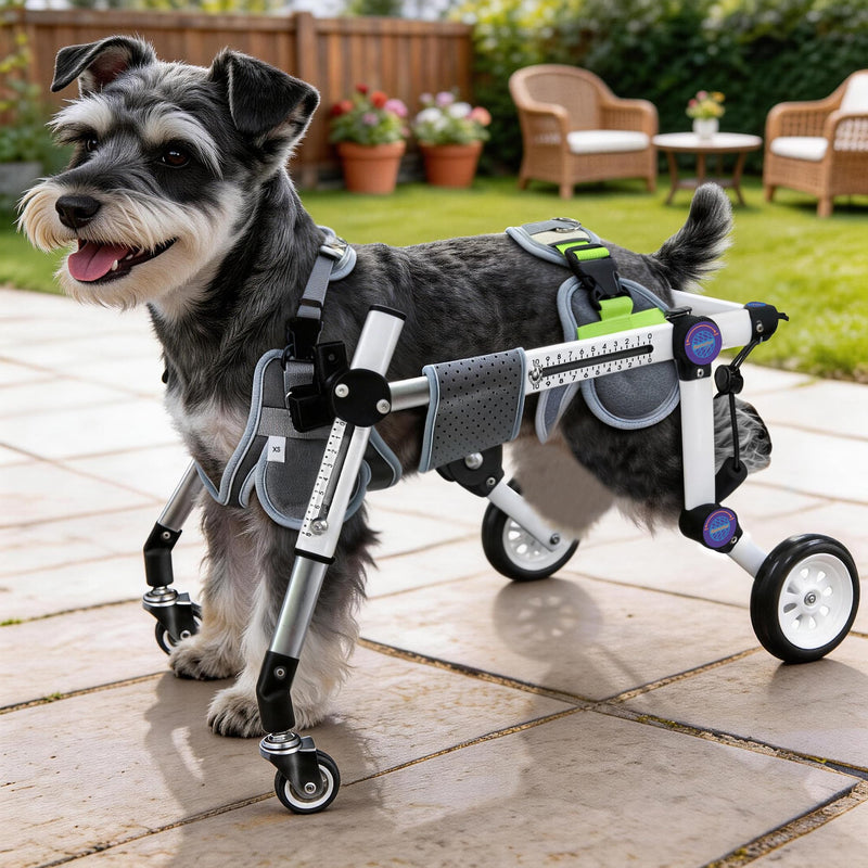 LetPetRun Dog Wheelchair 4 Wheels Adjustable, Full Body Support Dog Cart for Front & Rear Legs, Lightweight Mobility Aid for Disabled Small Dogs