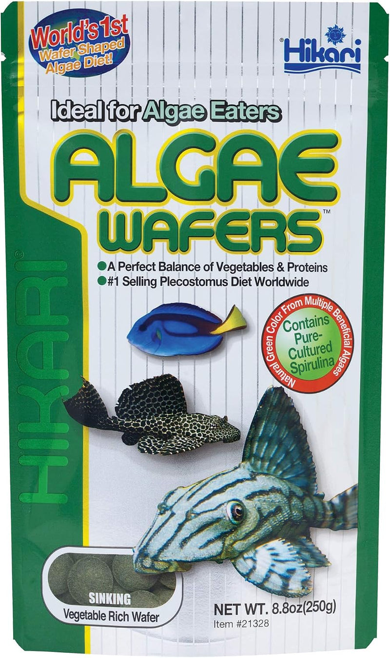 Hikari® Algae Wafers™ Sinking Wafers for Bottom-Feeding Tropical Fish, 8.8 oz (250g)