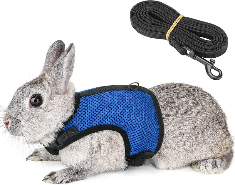 PETTOM Bunny Rabbit Harness with Stretchy Leash Cute Adjustable Buckle Breathable Mesh Vest for Kitten Small Pets Walkin