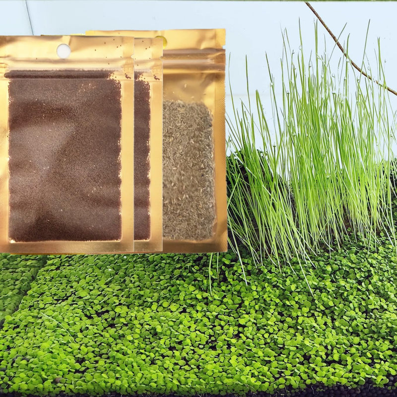 3 Bags Aquarium Plant S.e.e.d set, not aritifical plastic, Fresh Water Grass for Fish Tank zmml4