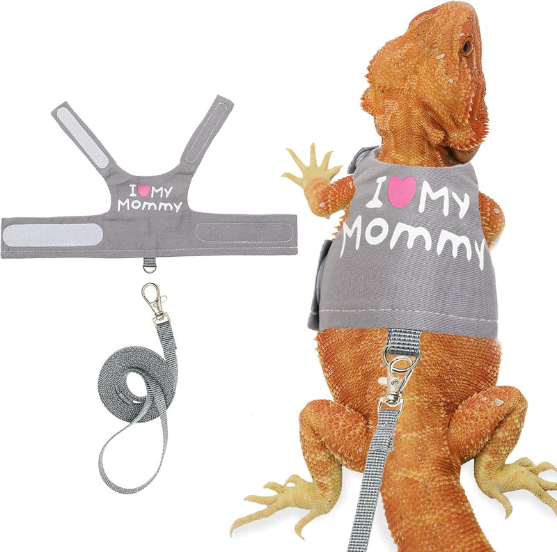Bearded Dragon Harness and Leash Set, Lizard Harness for Walking Outdoor