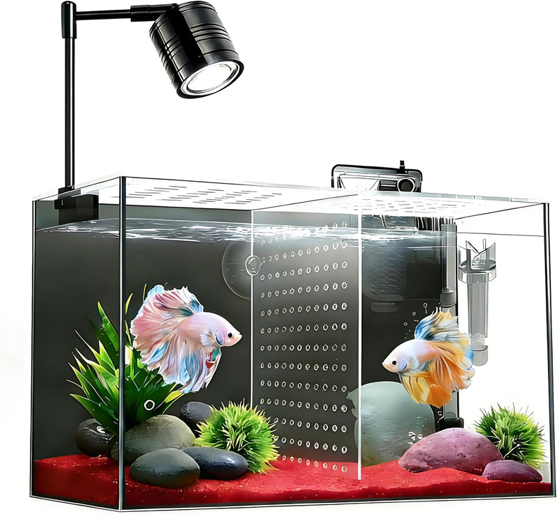 Fish Tank, 3 Gallon Ultra-Clear Glass Fish Aquarium, with Separator Plate for Betta, Fish Tank Starter kit with Filter a
