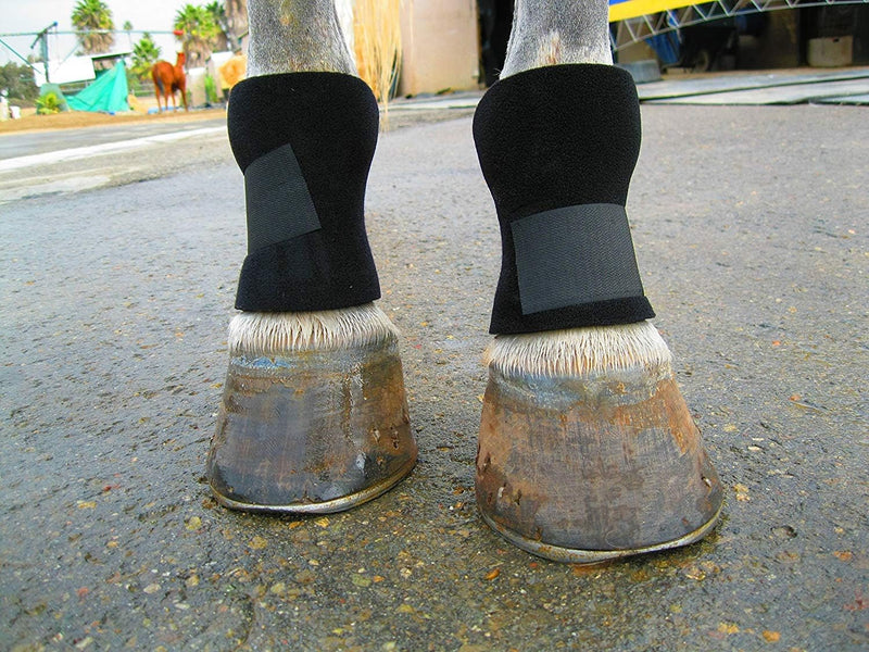 Bedsore Boots for Horses -Equine Leg Protection for Pressure Sores & Ulcers- Neoprene Stall Boots, Heal Wounds Faster, E