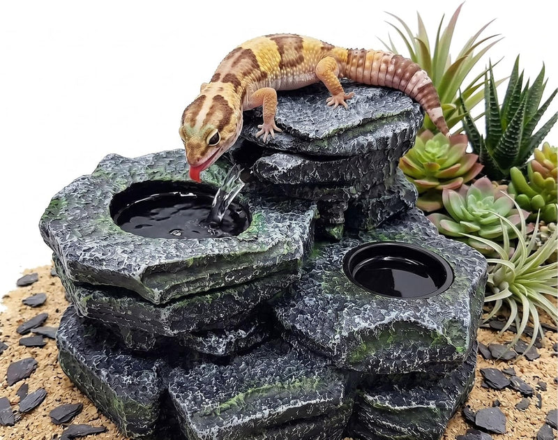 2 in 1 Reptile Water Fountain Food Dish Rock Waterfall for Bearded Dragon