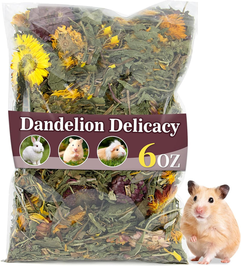 RAINFLOW 6oz Dried Dandelion Forage - Natural Herb Blend for Small Pets