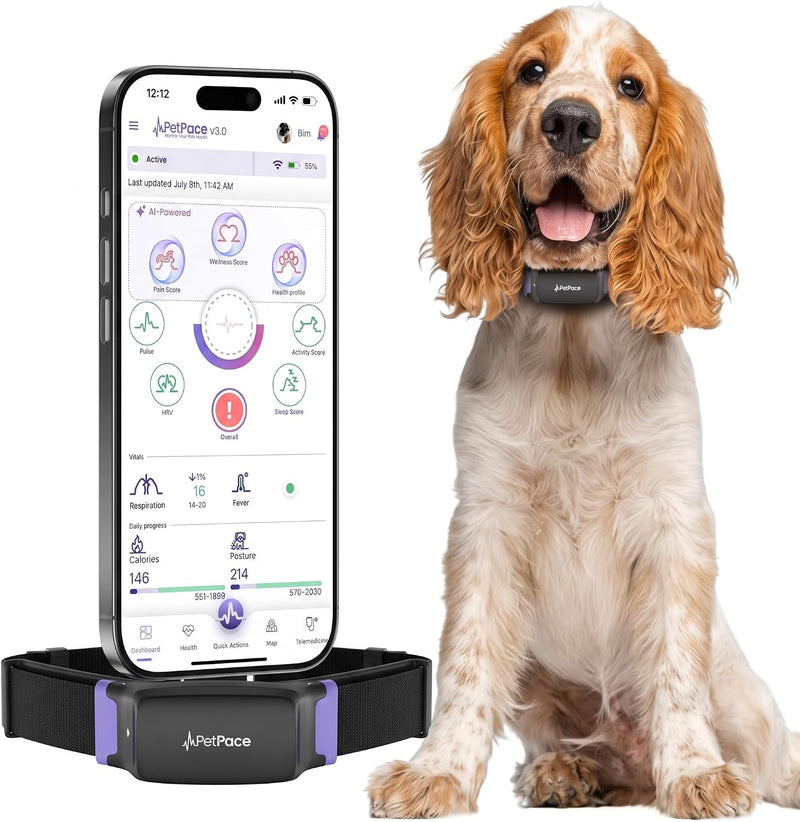 V3.0 Dog Health Monitor – AI Health Collar with 24/7 Vital Signs Tracks Pain GPS, Telehealth AskaVet & Share with Your V