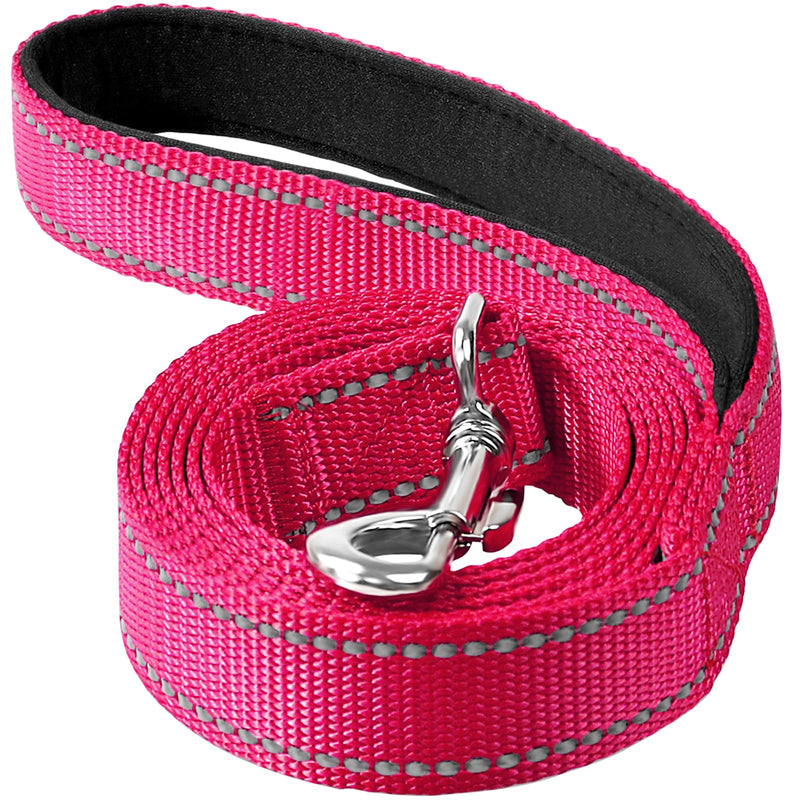 Erbine Reflective Dog Leash 6ft Soft Padded Handle Nylon Lead for Small & Medium Dogs, Durable Walking Training Leash for Night Safety (Hotpink,3/4Inch Wide)