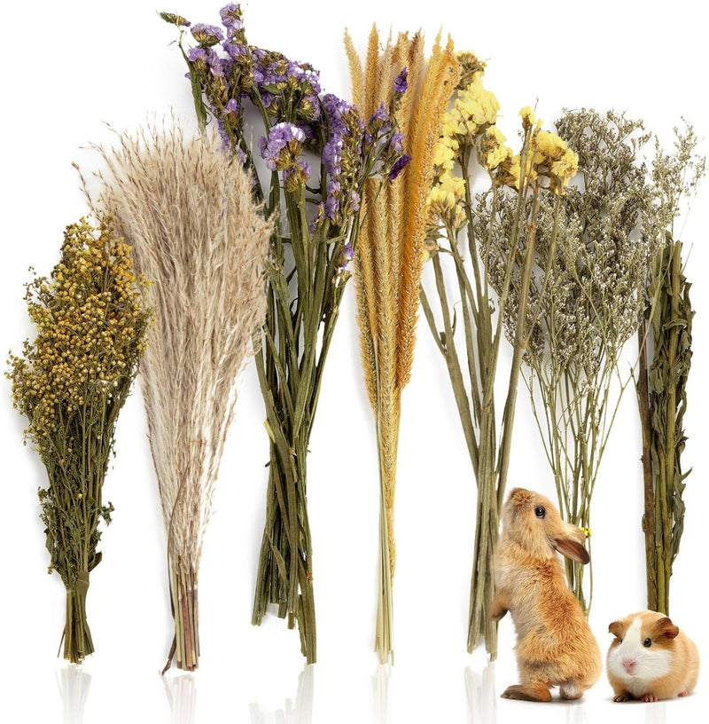 Sukh 47 Pcs Hamster Sprays - Natural Dried Flower and Herb Forage Mix