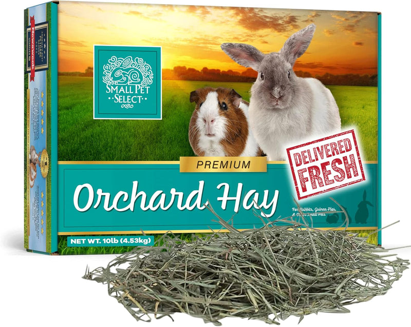 Small Pet Select Orchard Grass Hay Pet Food for Rabbits, Guinea Pigs, Chinchillas and Other Small Animals, Premium Natur