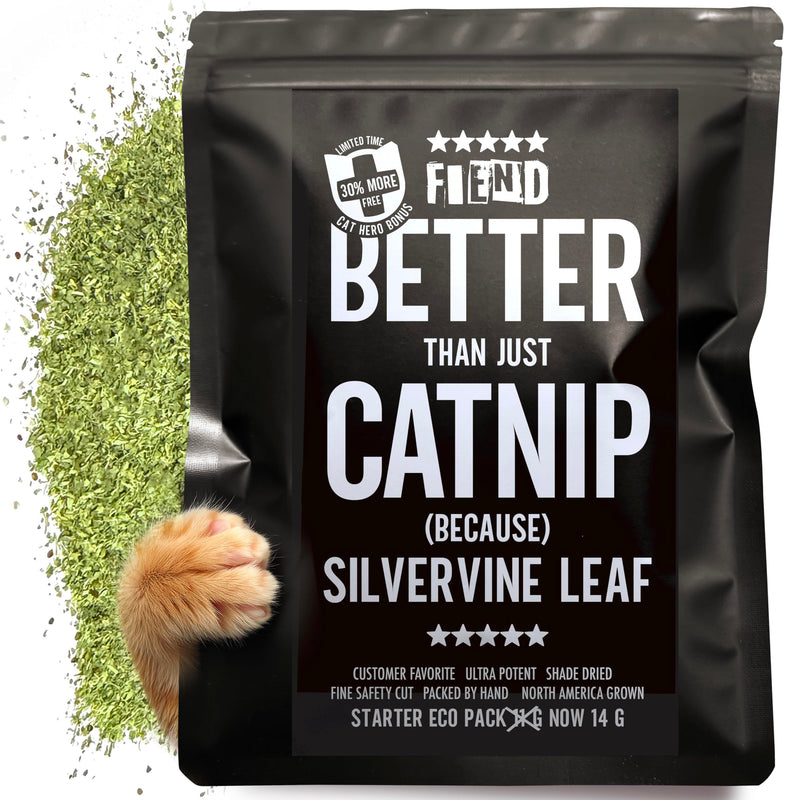 Catnip + Silvervine – Enhanced with Kind Silver Vine - Small .4 Cup (14g) Starter Pack Safety-Cut Ultra Potent North American Premium Fine Cat Nip Blend for Cats Kittens – Go Ahead, Create a Monster!
