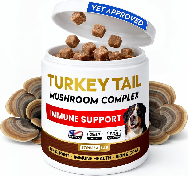 STRELLALAB Turkey Tail Mushroom Chews for Dogs - Fat Lumps & Bumps, Lipoma