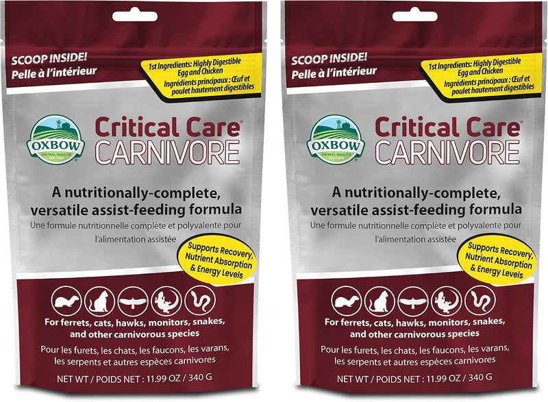 Oxbow Critical Care Carnivore Formula for Cats & Ferrets, 340g, Pack of 2