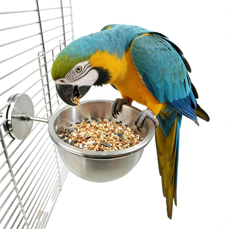 AOTU Anti Tip Stainless Steel Parrot Feeding Cups - Locking Bird Food & Water Bowls for Cage, Bird Cage Accessories for Cockatiel, Conure, Budgie, Macaw, Gray Parrot & Small Pets (L)