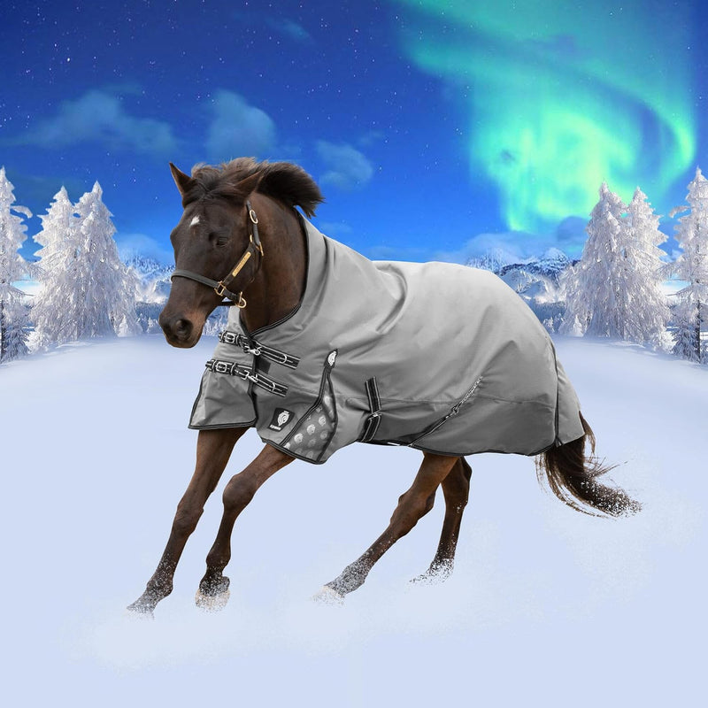 Equinavia Arktis Extended Neck Turnout Sheet - Charcoal Gray - 81 in