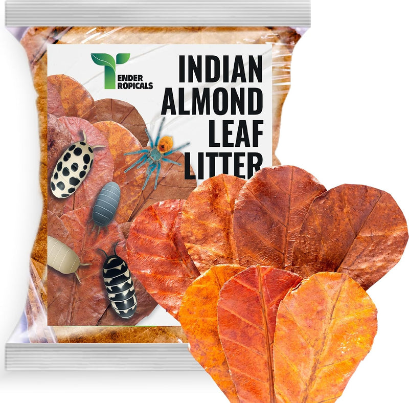 Leaf Litter for Isopods β 80 Pcs 4