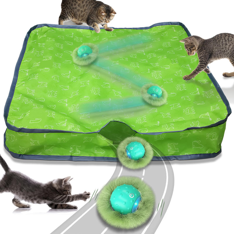 Waaiio Interactive Cat Toys for Indoor Cats,Automatic Moving Cat Ball in Pouch,Chirping Stimulation,Hide-n-Seek Chase Exercise Game,Motion Activate,Rechargeable Kitten Toys