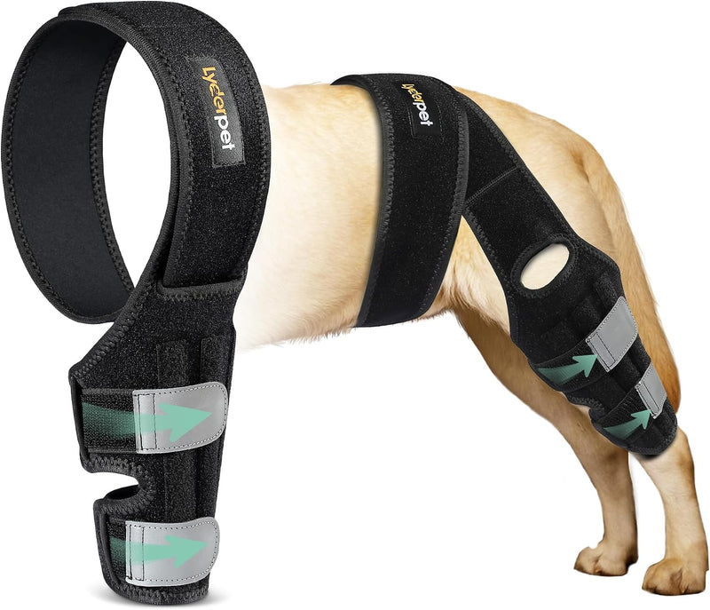 Dog Leg Braces for Back Leg for Support, Dog ACL Brace Hind Leg, Cruciate Ligament Knee Brace for Dogs Rear Leg with Tor