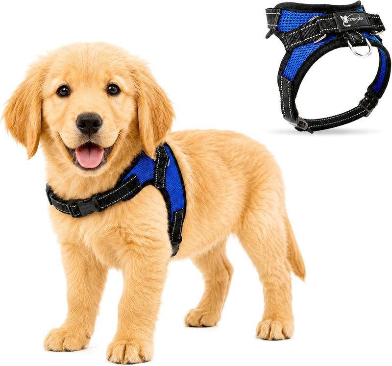 Copatchy No Pull Reflective Adjustable Dog Harness With Handle- Comfortable Soft All Weather Mesh, Easy On Puppy Harness For Small Medium and Large Dogs (Blue) Small