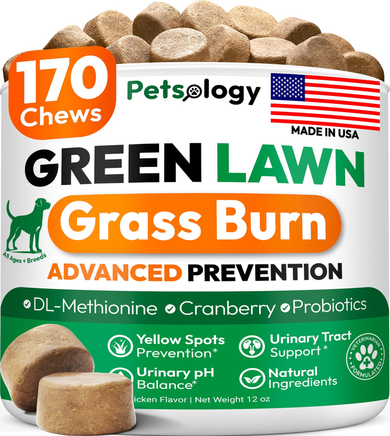 Petsology Dog Urine Neutralizer for Lawn - 170 Green Lawn Chews for Dogs - Pee Grass Burn Spot Saver Caused by Dog Urine with Probiotics & Digestive Enzymes - Advanced Gut Health Supplement, Rocks