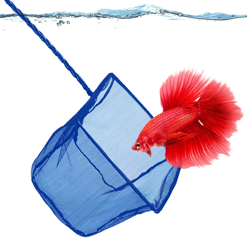 SunGrow Betta Fish Net, Secure Delicate Fin, 5x4 Inches with 11 Inches Handle, Extra Soft Nylon Net, Easy Routine Aquari