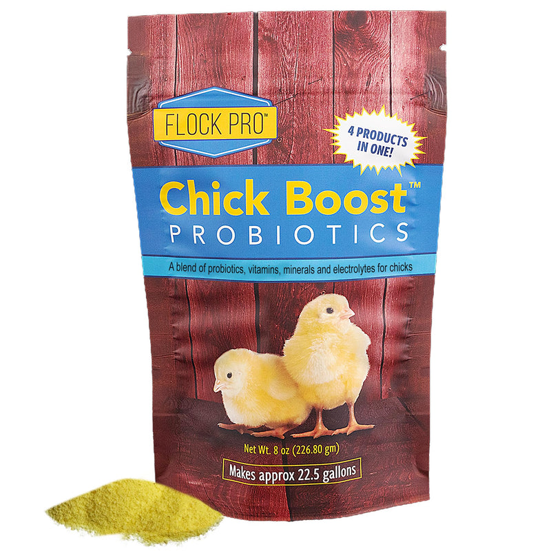 Equerry's Flock PRO Chick Boost Probiotic - Probiotics, Vitamins, Minerals and Electrolytes for Chickens | Chicken Vitamins and Supplements for All Poultry - 8oz
