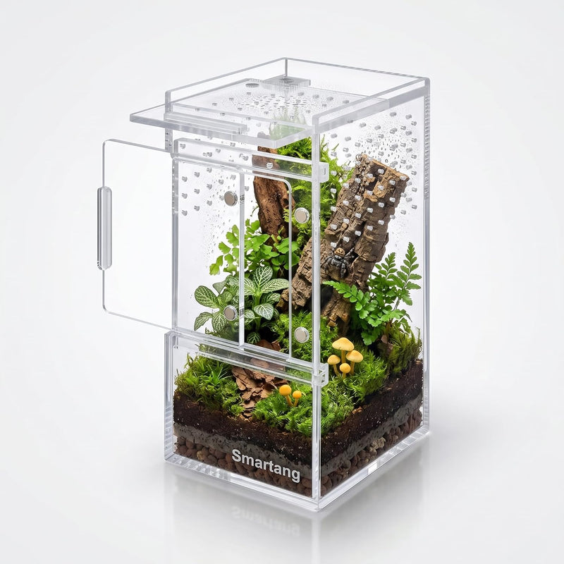 【Pre-Assembled】 Jumping Spider Enclosure(3