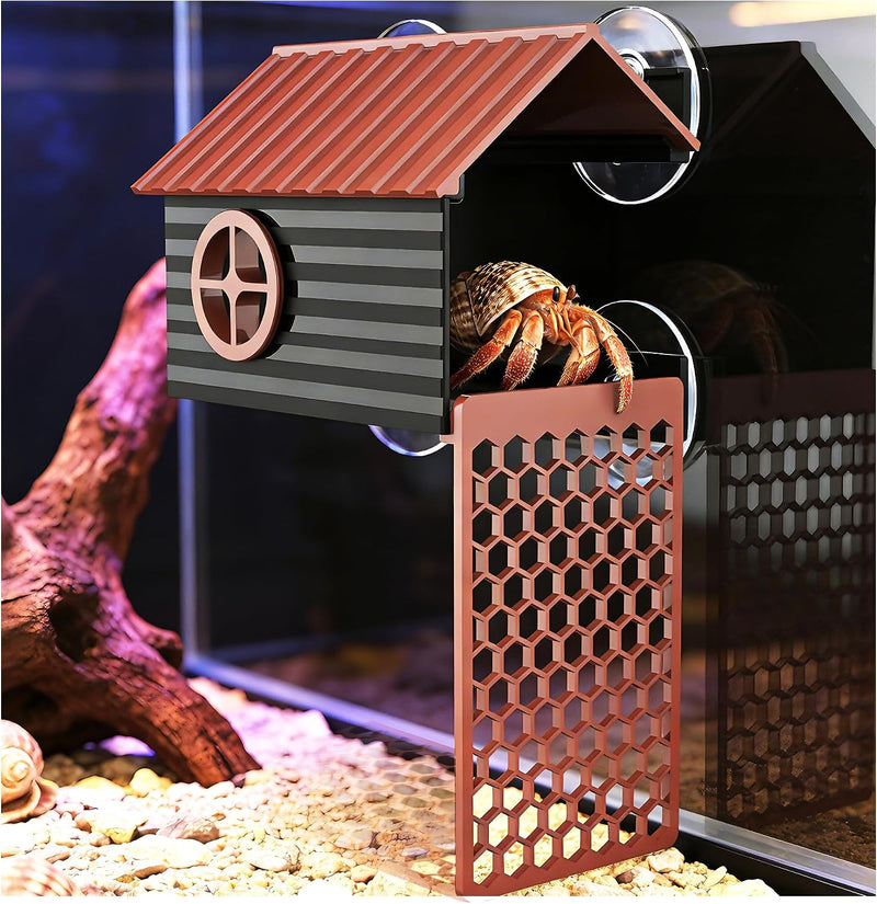 Hermit Crab Accessories | Hermit Crab Climbing Toys with Climbing Wall | Multi-Functional Hermit Crab Hideaway & Foragin