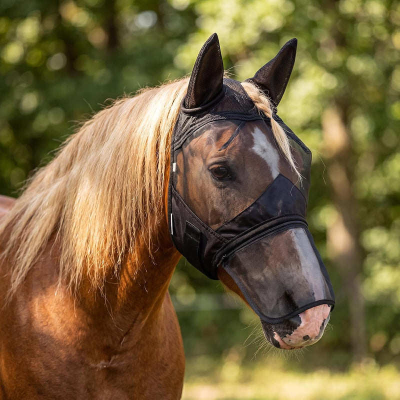 Horse Fly Mask with Ears & Detachab Nose Cover, Medium