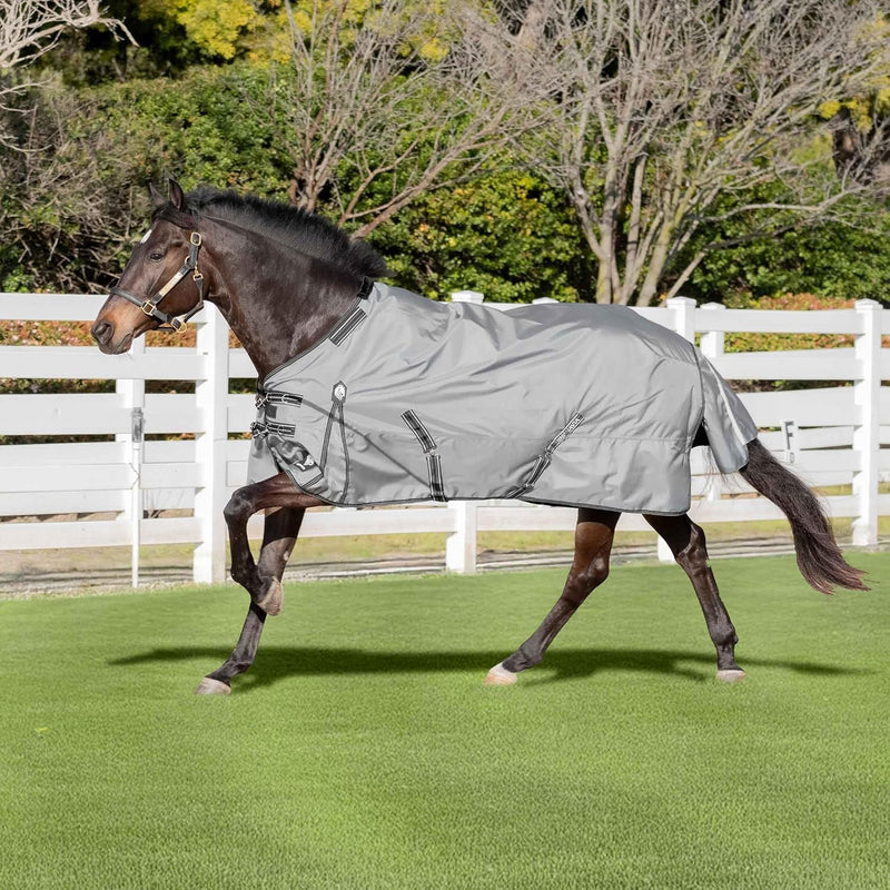 Equinavia Arktis Regular Neck Turnout Sheet - Carbon Gray - 78 in