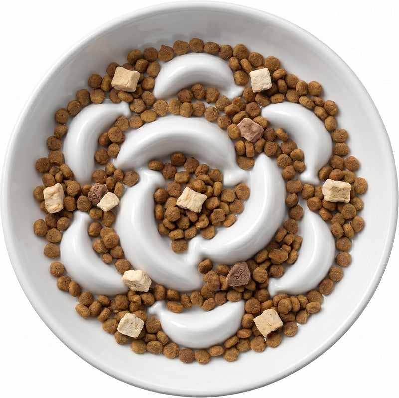 Ceramic Cat Slow Feeder Bowl - 6.3'' Wide Opening Whisker Friendly Cat Plate for Dry and Wet Food - Cute Maze Feeder Dish Helps Reduce Vomiting - Microwave and Dishwasher Safe - White