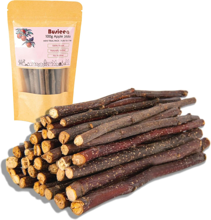 Apple Chew Sticks 100g Mini Molar Toys for Small Pets