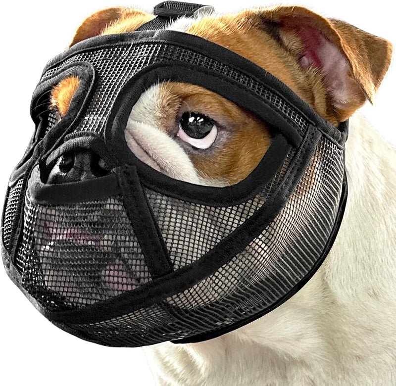 Mayerzon English Bulldog Muzzle, Mesh Short Snout Dog Muzzle Anti Eating