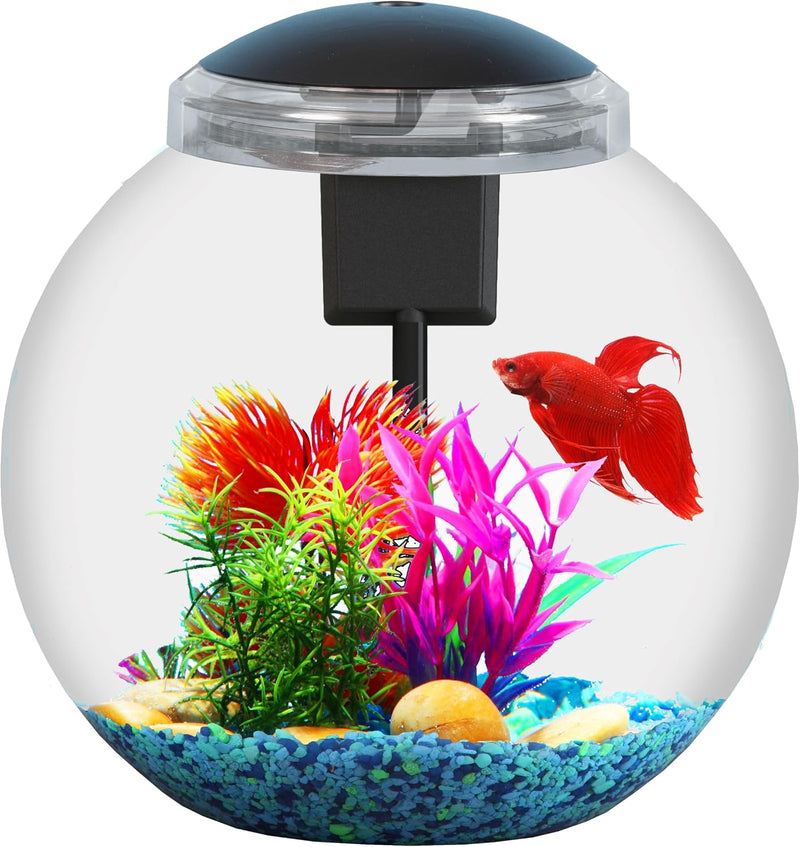 3-Gallon Aquarium Starter Kit, Ideal for Betta Fish and Other Tropical Fish, Includes Power Filter, LED Light, Hood, and