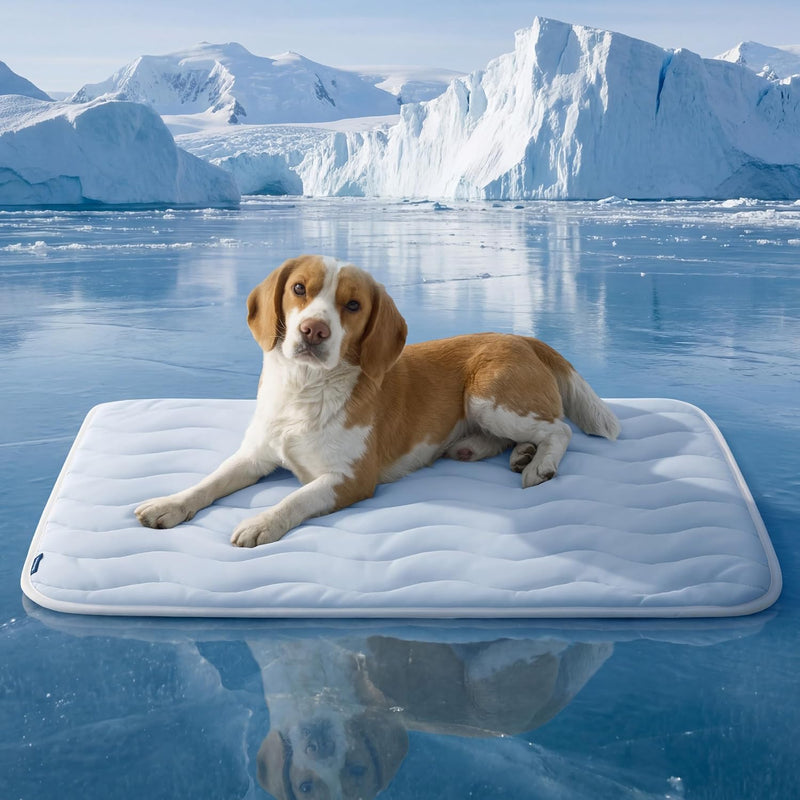 Bedsure Cooling Mat for Large Dogs - Q-Max>0.4 Thin Breathable Cooling Crate Pad Indoor for Pet with Chill Cool Fiber as Cooling Topper,Portable Washable Kennel Mat in Outdoor Summer, 35x23, Blue